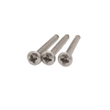 Grade 4.8 Cross recessed pan head self-tapping iron and steel screws